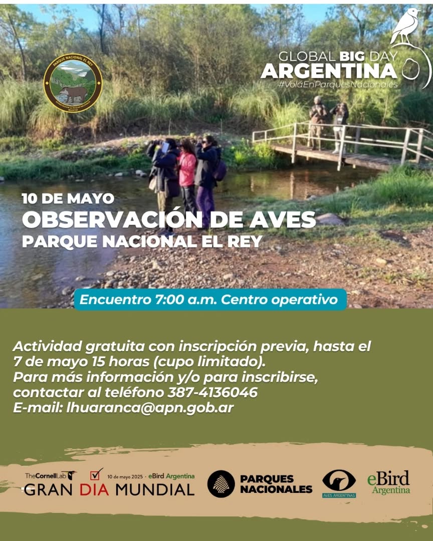 Observación de Aves en el Parque Nacional El Rey: Un Destino Ideal para el Global Big Day
