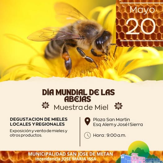 SALTA: METÁN CELEBRA EL DÍA MUNDIAL DE LAS ABEJAS CON UNA MUESTRA DE MIEL LOCAL Y REGIONAL
